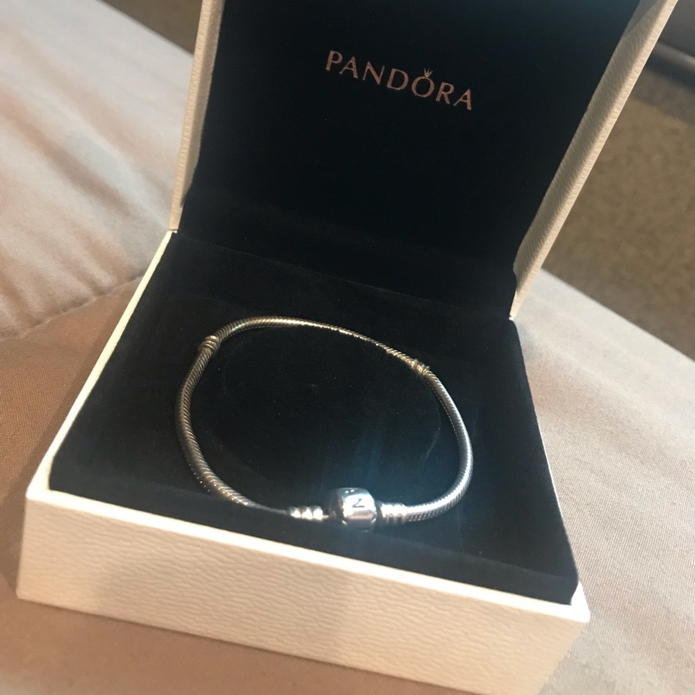 Silver Pandora Moments Snake chain bracelet